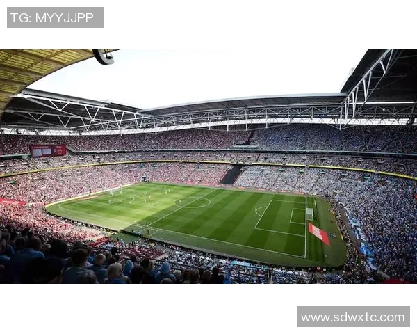 欧冠门票系统故障数万球迷排队长达12小时争抢心仪门票